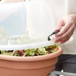 Elho Green Basics Flower Bridge Grow House 55cm -Outlet Garden Living Store 1024663 4