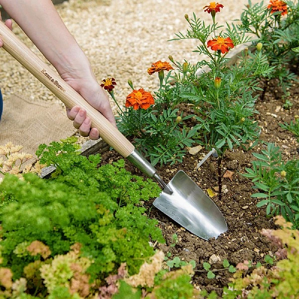 Kent & Stowe Stainless Steel Border Hand Trowel 2 Kent & Stowe Stainless Steel Border Hand Trowel - Image 2