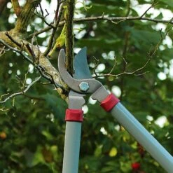Kent & Stowe General Purpose Loppers -Outlet Garden Living Store 1031094 3