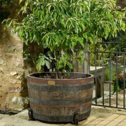 Jardinopia Plant Pot Feet Bronze Labrador - Set Of 3 -Outlet Garden Living Store 1177293 3