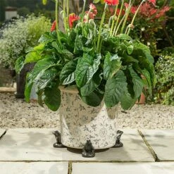 Jardinopia Plant Pot Feet Bronze Frog - Set Of 3 -Outlet Garden Living Store 1177294 4