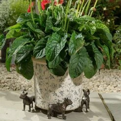 Jardinopia Plant Pot Feet Bronze French Bulldog -Outlet Garden Living Store 1177301 3