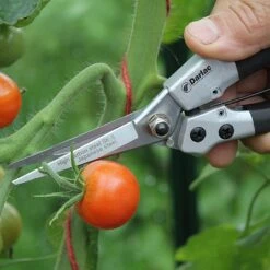 Darlac Compact Snips -Outlet Garden Living Store 1202076 3