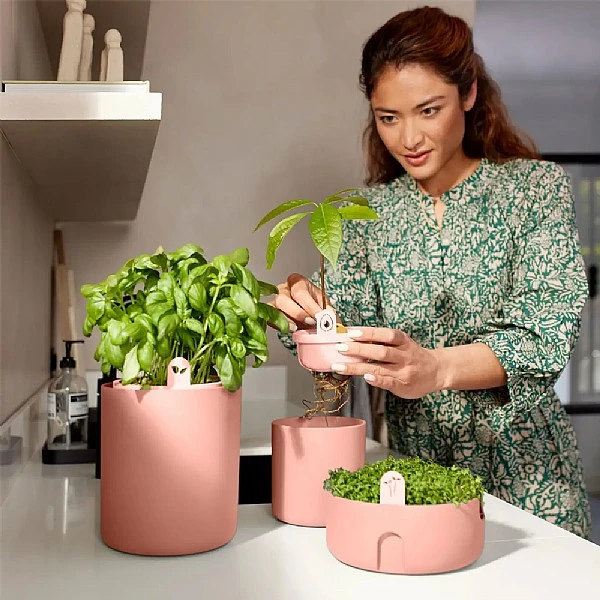 Elho Bouncy Basil Herb Pot Toffee Terracotta 1 Elho Bouncy Basil Herb Pot Toffee Terracotta