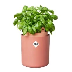 Elho Bouncy Basil Herb Pot Toffee Terracotta 8 Elho Bouncy Basil Herb Pot Toffee Terracotta -Outlet Garden Living Store 1230811 3