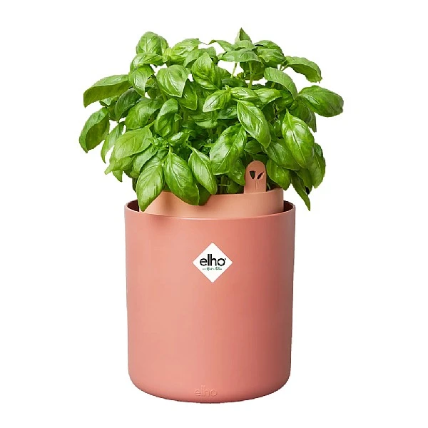Elho Bouncy Basil Herb Pot Toffee Terracotta 3 Elho Bouncy Basil Herb Pot Toffee Terracotta - Image 3