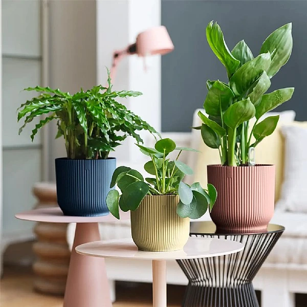 Elho Vibes Fold Round Planter 22cm Delicate Pink 1 Elho Vibes Fold Round Planter 22cm Delicate Pink