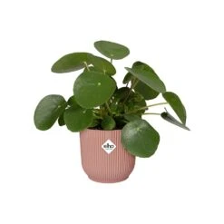Elho Vibes Fold Round Planter 22cm Delicate Pink 9 Elho Vibes Fold Round Planter 22cm Delicate Pink -Outlet Garden Living Store 1230824 4