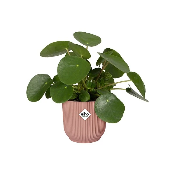 Elho Vibes Fold Round Planter 22cm Delicate Pink 4 Elho Vibes Fold Round Planter 22cm Delicate Pink - Image 4