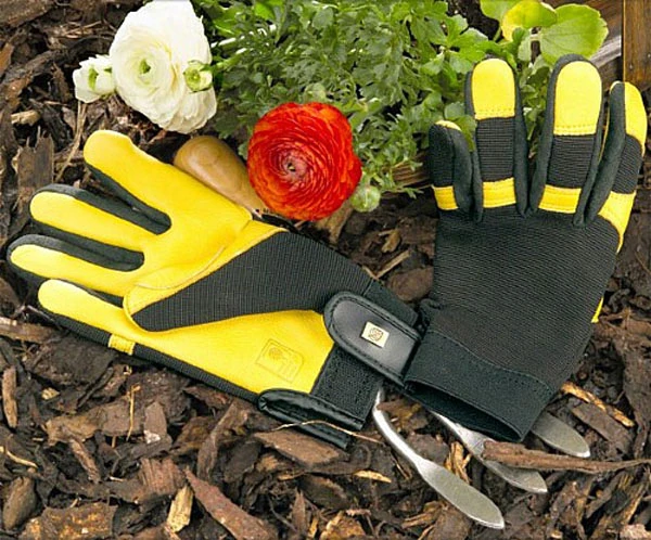 Gold Leaf Ladies Soft Touch Gloves 1 Gold Leaf Ladies Soft Touch Gloves