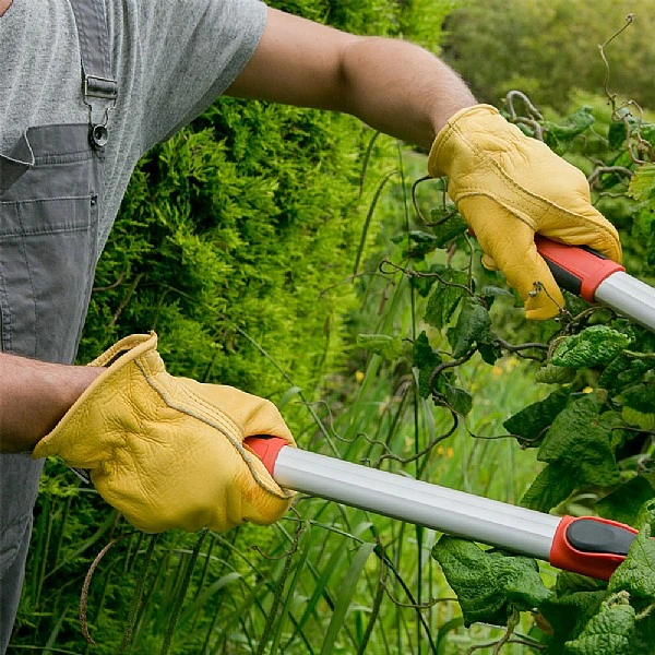 Town & Country Deluxe Premium Leather Gloves XL 2 Town & Country Deluxe Premium Leather Gloves XL - Image 2