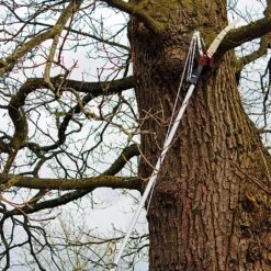 Kent & Stowe Telescopic Tree Lopper -Outlet Garden Living Store 910042 2