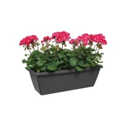 Elho Barcelona 90cm Trough (Various Colours) 6 Elho Barcelona 90cm Trough (Various Colours) -Outlet Garden Living Store BARCTROUGH90 2