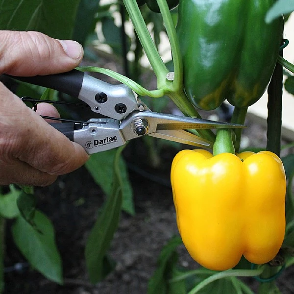 Outlet Garden Living Store 29 Outlet Garden Living Store -Outlet Garden Living Store 1202076 2