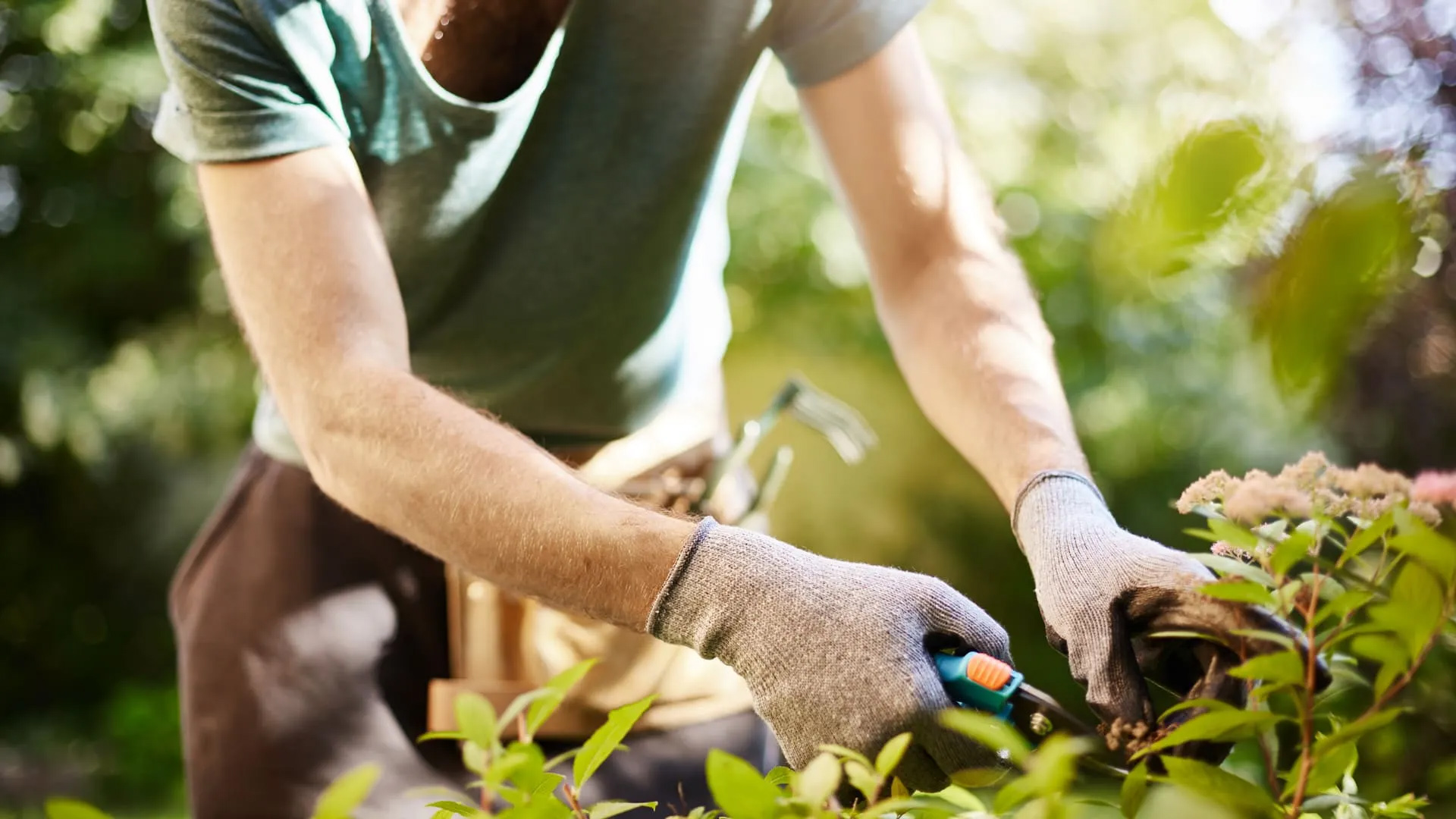 Outlet Garden Living Store -Outlet Garden Living Store 63d13a664014f1218ef547b7 gardener header 1